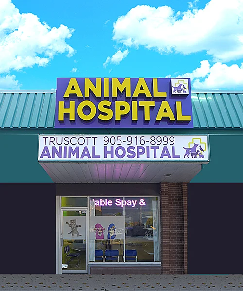 Truscott Animal Hospital