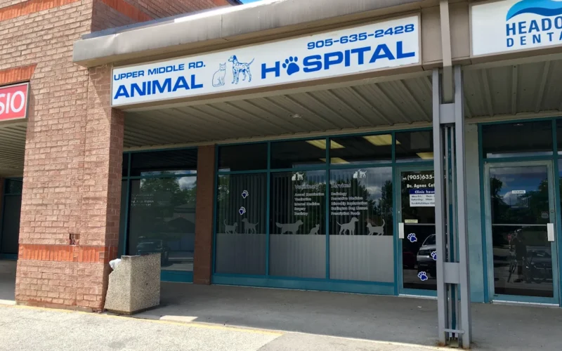 Upper Middle Road Animal Hospital