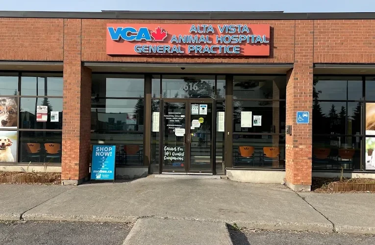 VCA Canada Alta Vista Animal Hospital
