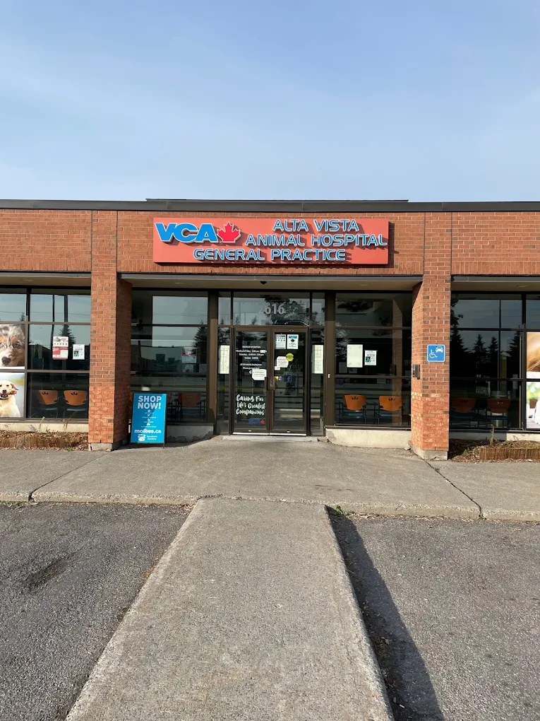 VCA Canada Alta Vista Animal Hospital