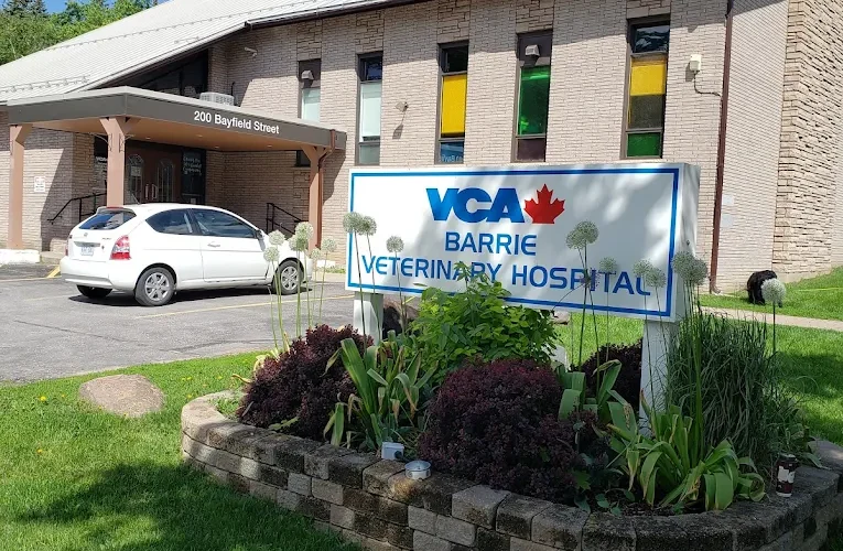 VCA Canada Barrie Veterinary Hospital