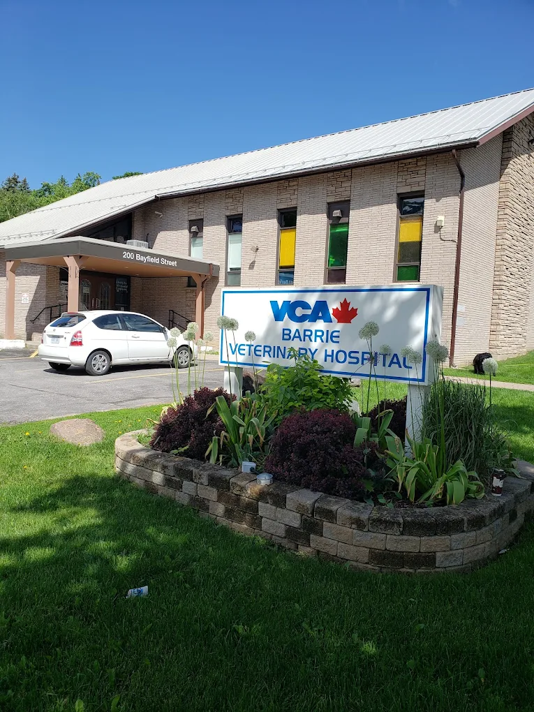 VCA Canada Barrie Veterinary Hospital