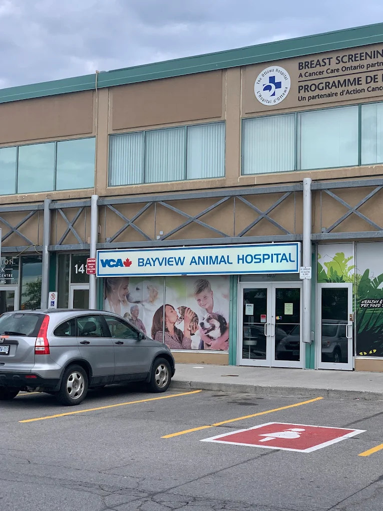 VCA Canada Bayview Animal Hospital