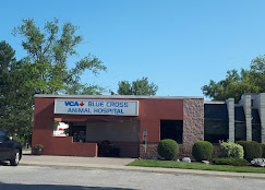 VCA Canada Blue Cross Animal Hospital