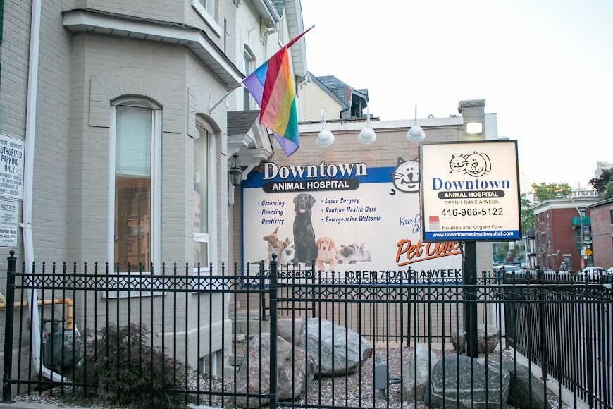 VCA Canada Downtown Animal Hospital