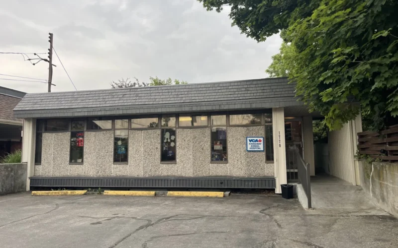 VCA Canada Kingsway Animal Hospital