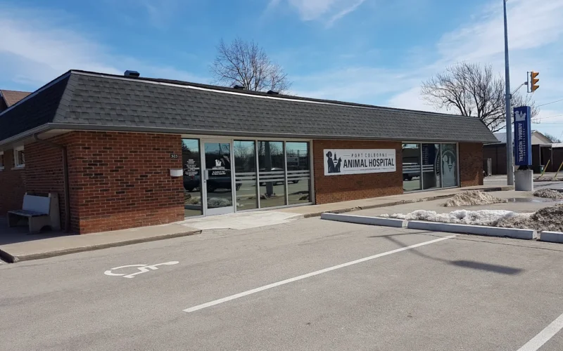 VCA Canada Port Colborne Animal Hospital