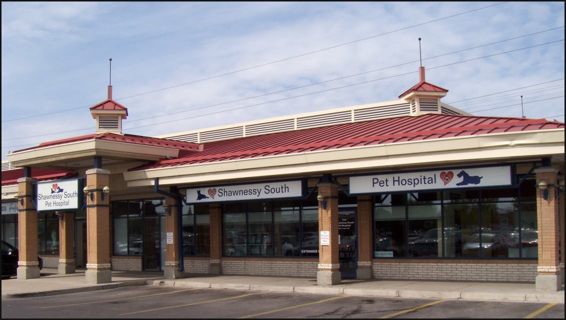 VCA Canada Shawnessy South Animal Hospital