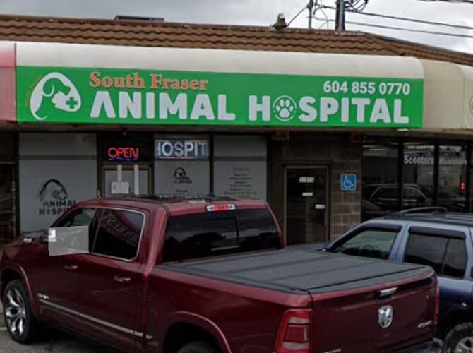 South Fraser Animal Hospital