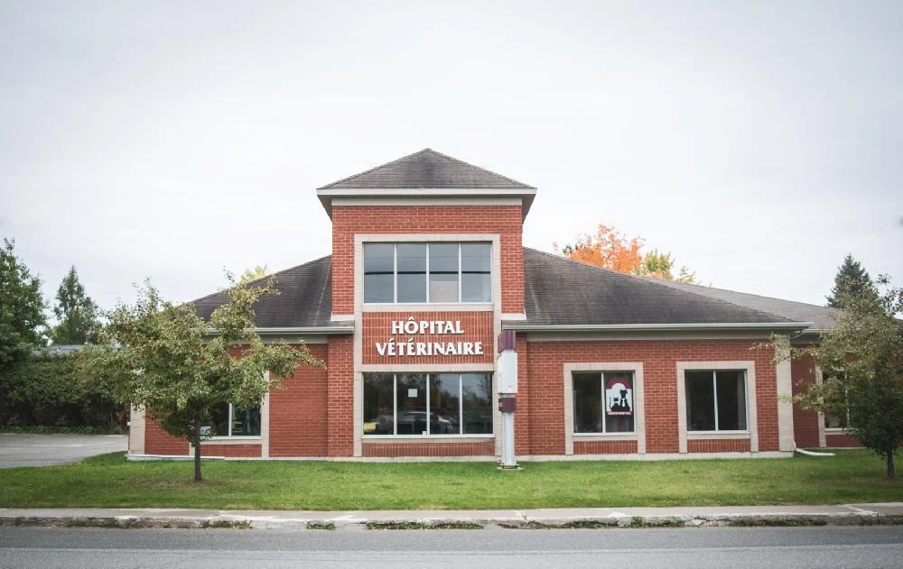 Veterinary Hospital De L'Estrie