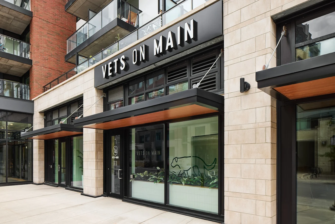 Vets on Main