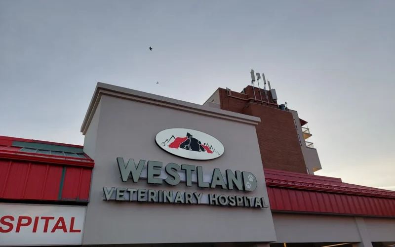 Westland Veterinary Hospital