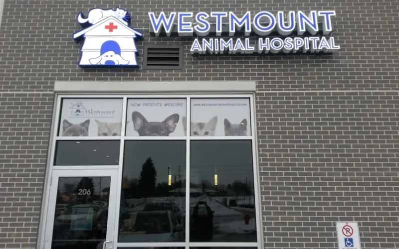 Westmount Animal Hospital