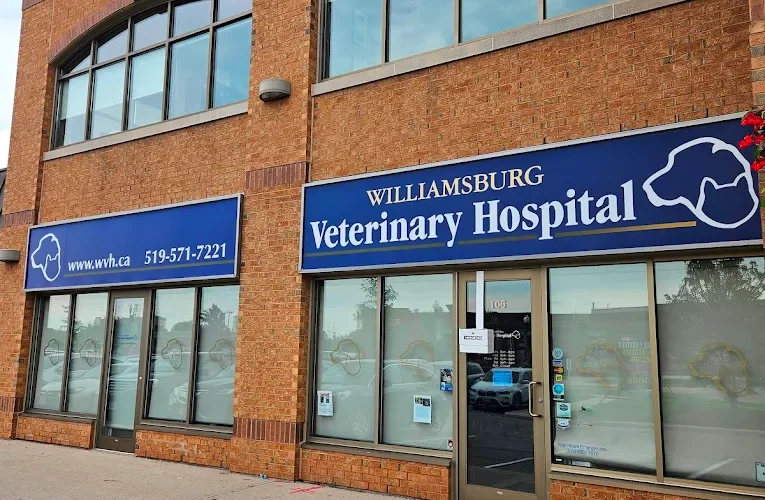 Williamsburg Veterinary Hospital