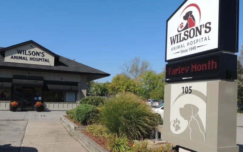 Wilson's Animal Hospital