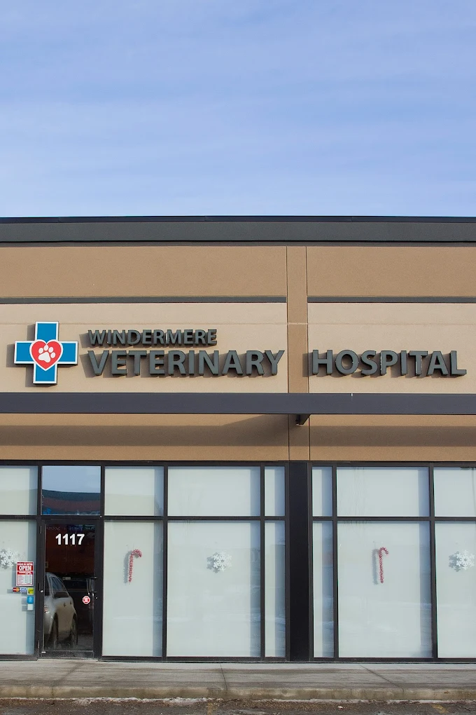 Windermere Veterinary Hospital
