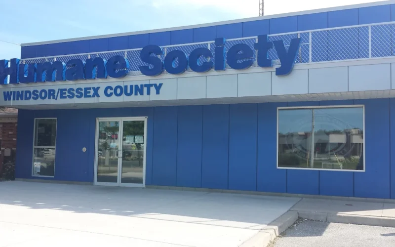 Windsor/Essex County Humane Society