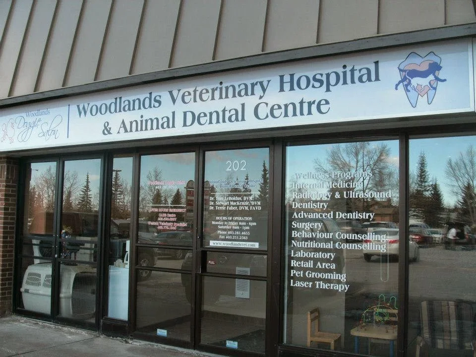 Woodlands Veterinary Hospital and Animal Dental Centre