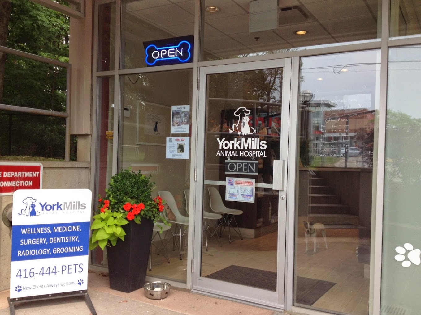 York Mills Animal Hospital