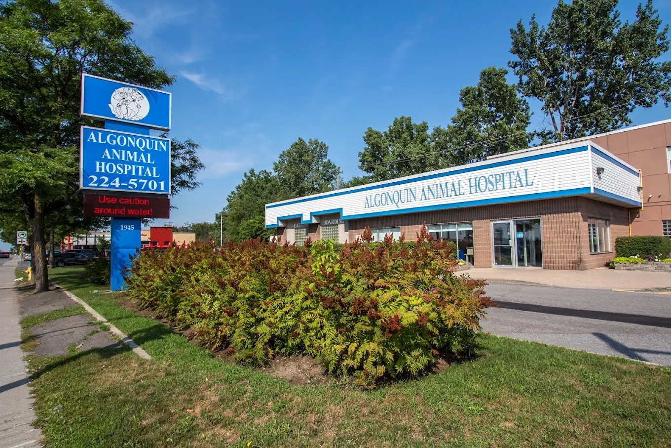 Algonquin Animal Hospital