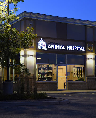 Amberlea Animal Hospital