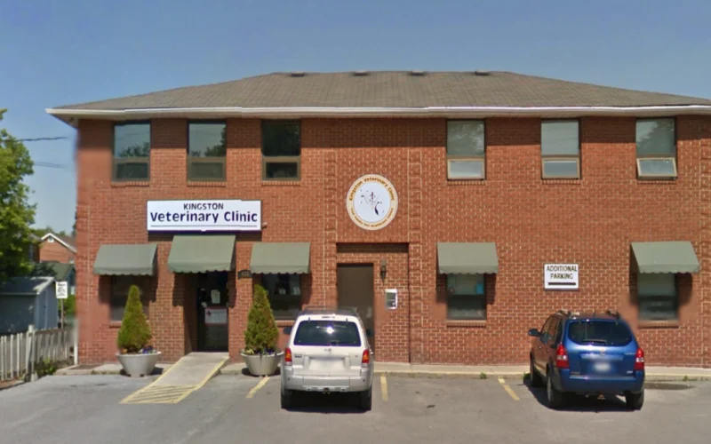 Kingston Veterinary Clinic