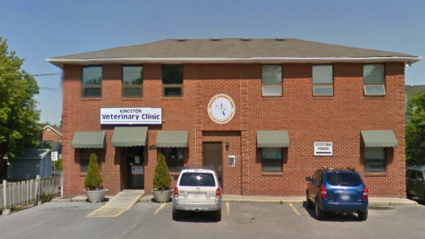 Kingston Veterinary Clinic
