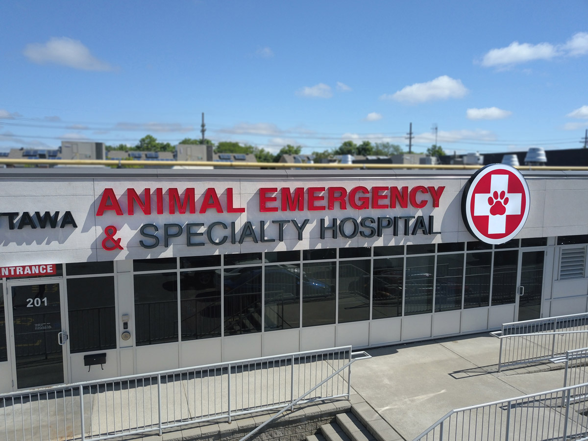 Animal Emergency & Specialty Hospital
