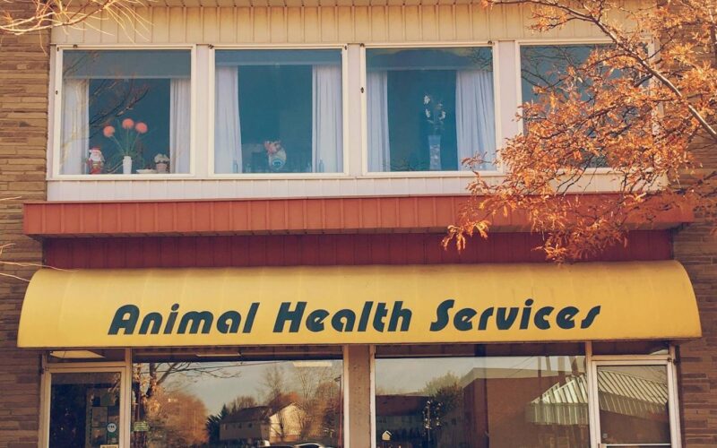 Animal Health Services St. Catharines