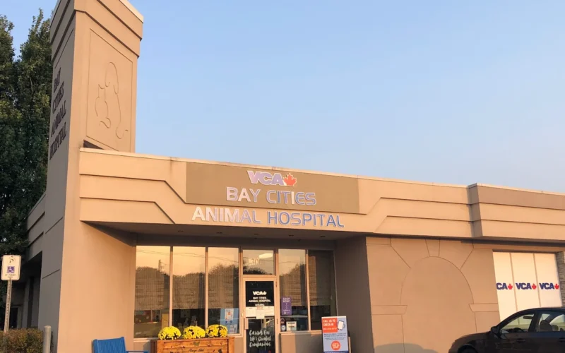 VCA Canada Bay Cities Animal Hospital
