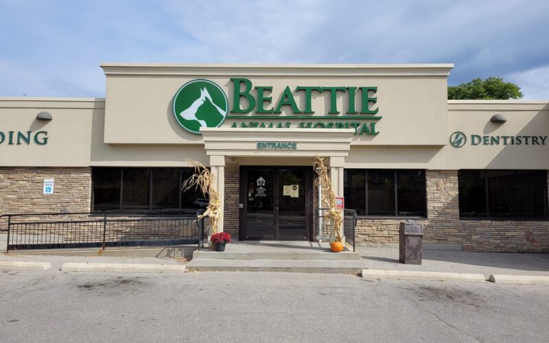 Beattie Animal Hospital - Brantford