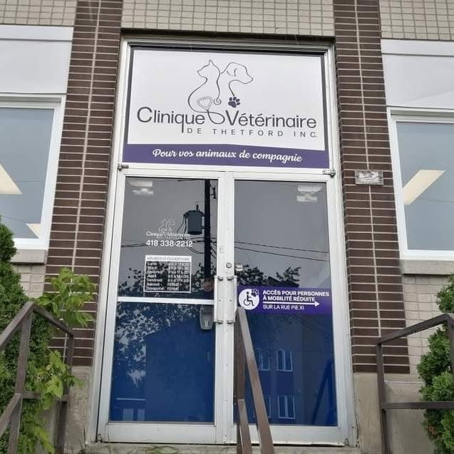 Clinique Vétérinaire de Thetford inc.
