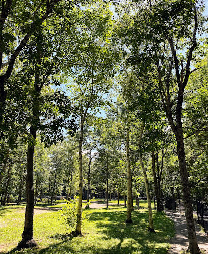 South Shore Vet Dog Park