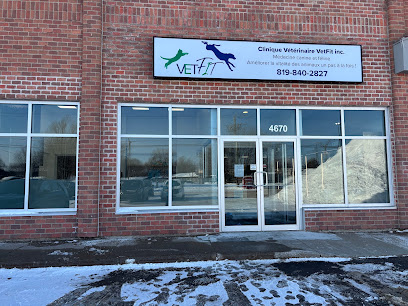 Clinique Vétérinaire Vetfit inc. - Médecine canine et féline, physiothérapie et acupuncture chiens et chats