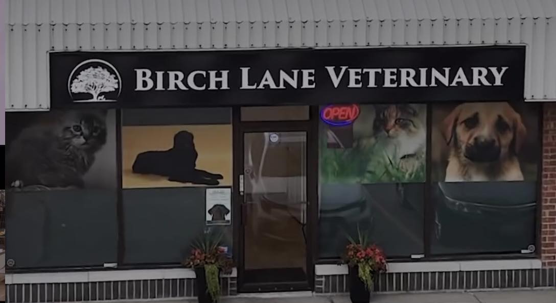 Birch Lane Veterinary Clinic