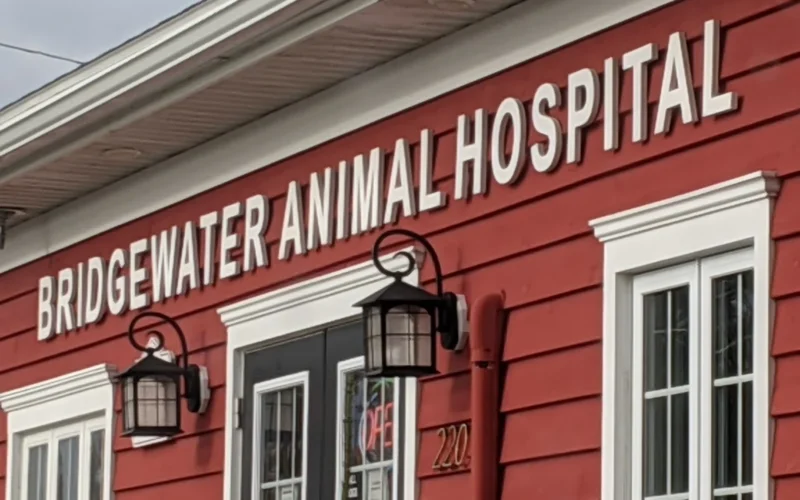 Bridgewater Animal Hospital