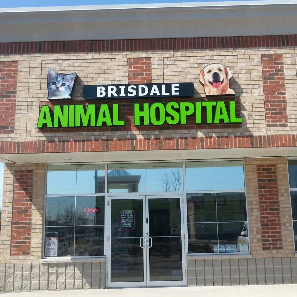 Brisdale Animal Hospital