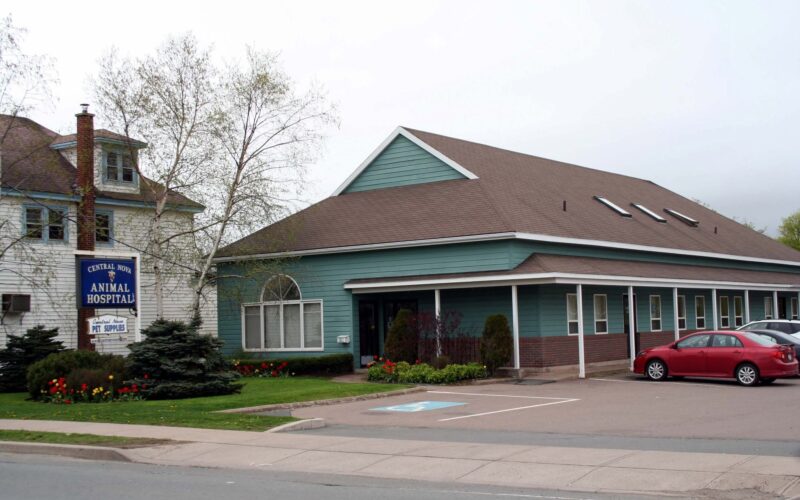 Central Nova Animal Hospital