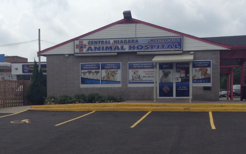 Central Niagara Animal Hospital
