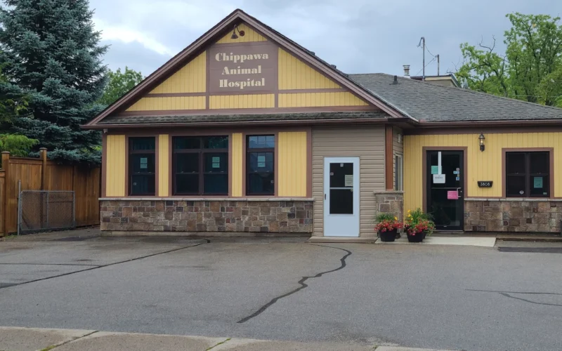 Chippawa Animal Hospital