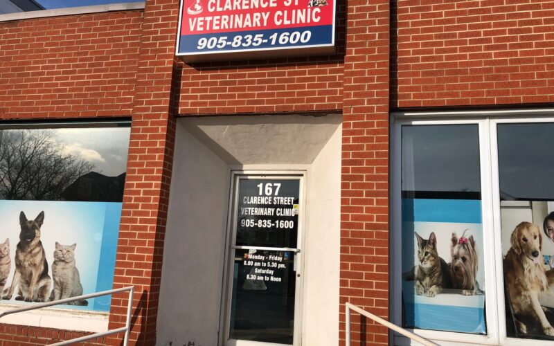 CLARENCE ST. VET CLINIC