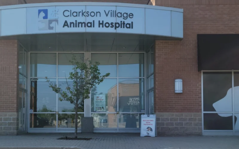 Clarkson Village Animal Hospital