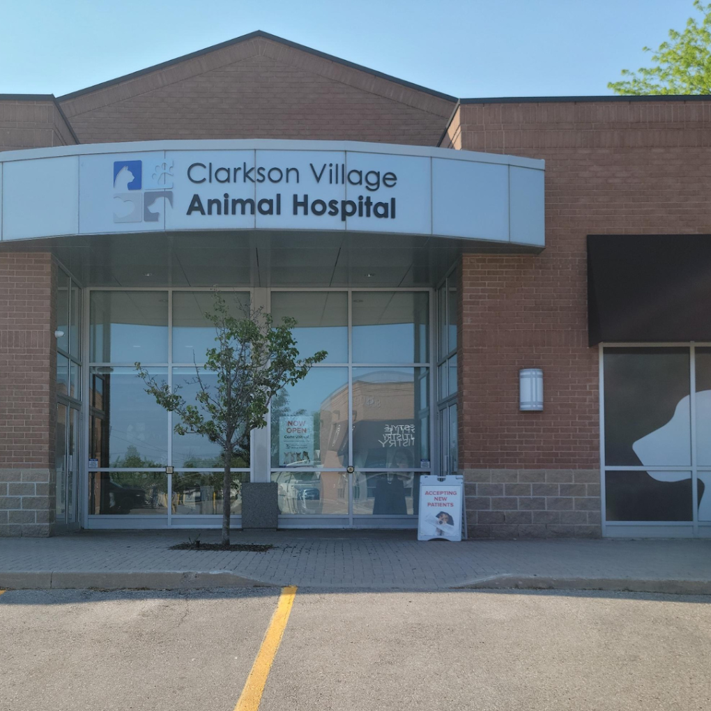 Clarkson Village Animal Hospital