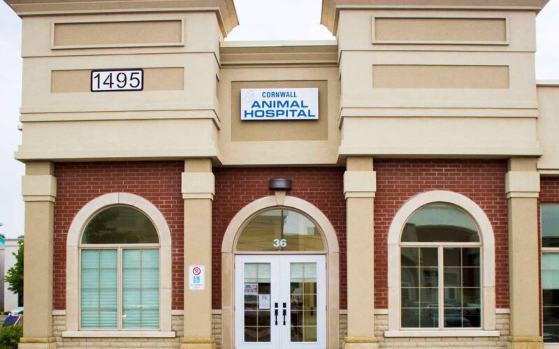 Lionhead Animal Hospital opening soon