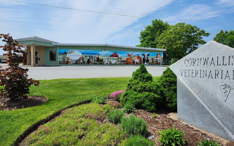 Cornwallis Veterinarians Ltd
