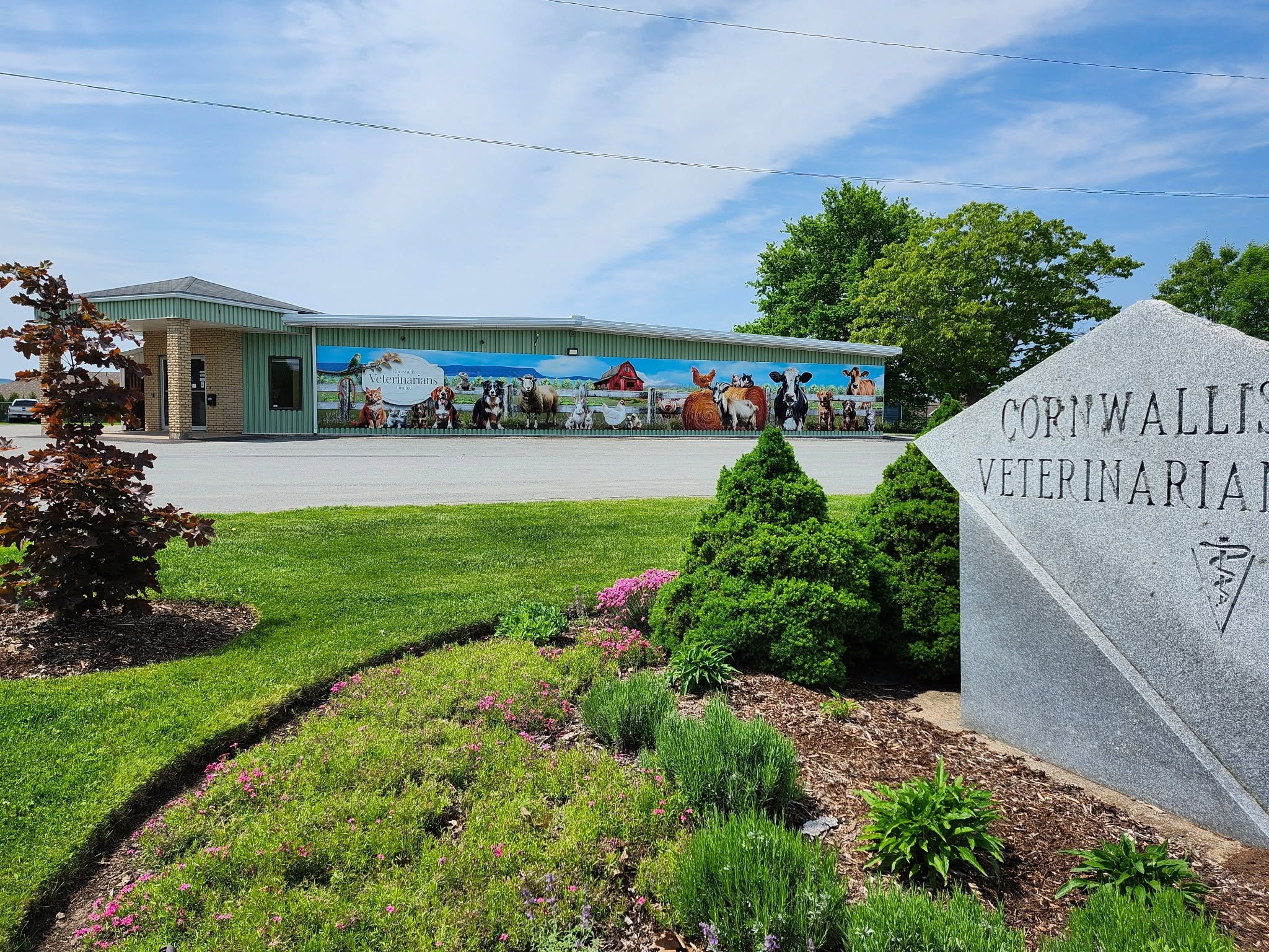 Cornwallis Veterinarians Ltd