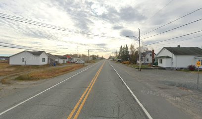 Vet & Cie sur la route en Abitibi | Vétérinaires indépendants & québécois, Chiens, chats, télémédecine, soins à domicile
