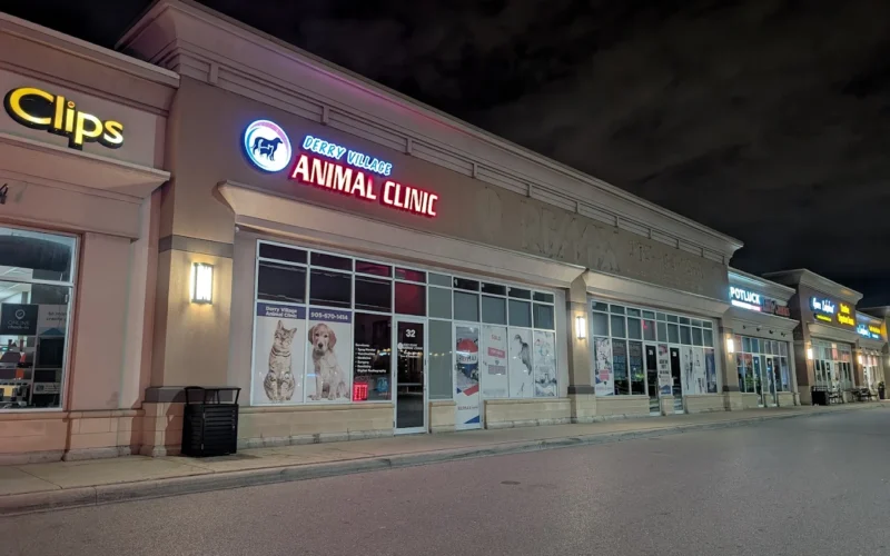 Derry Village Animal Clinic