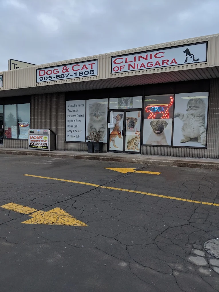 Dog and Cat Clinic of Niagara