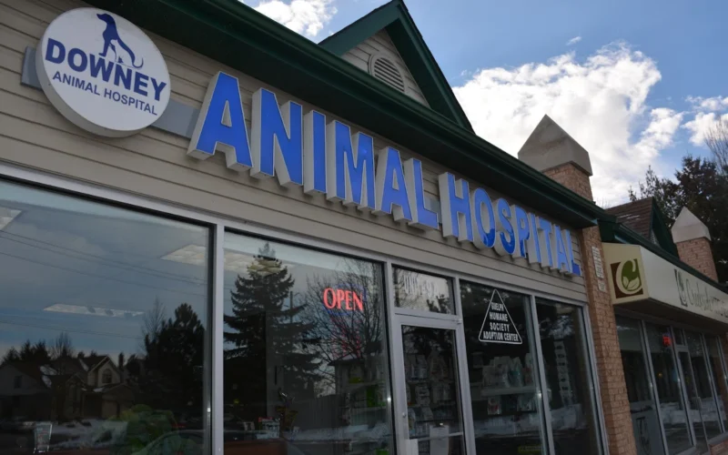 Downey Animal Hospital